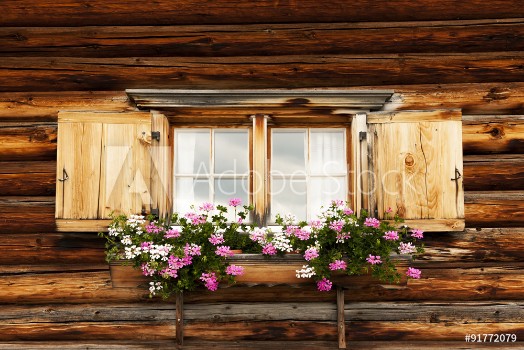 Picture of Blumenfenster auf der Alm